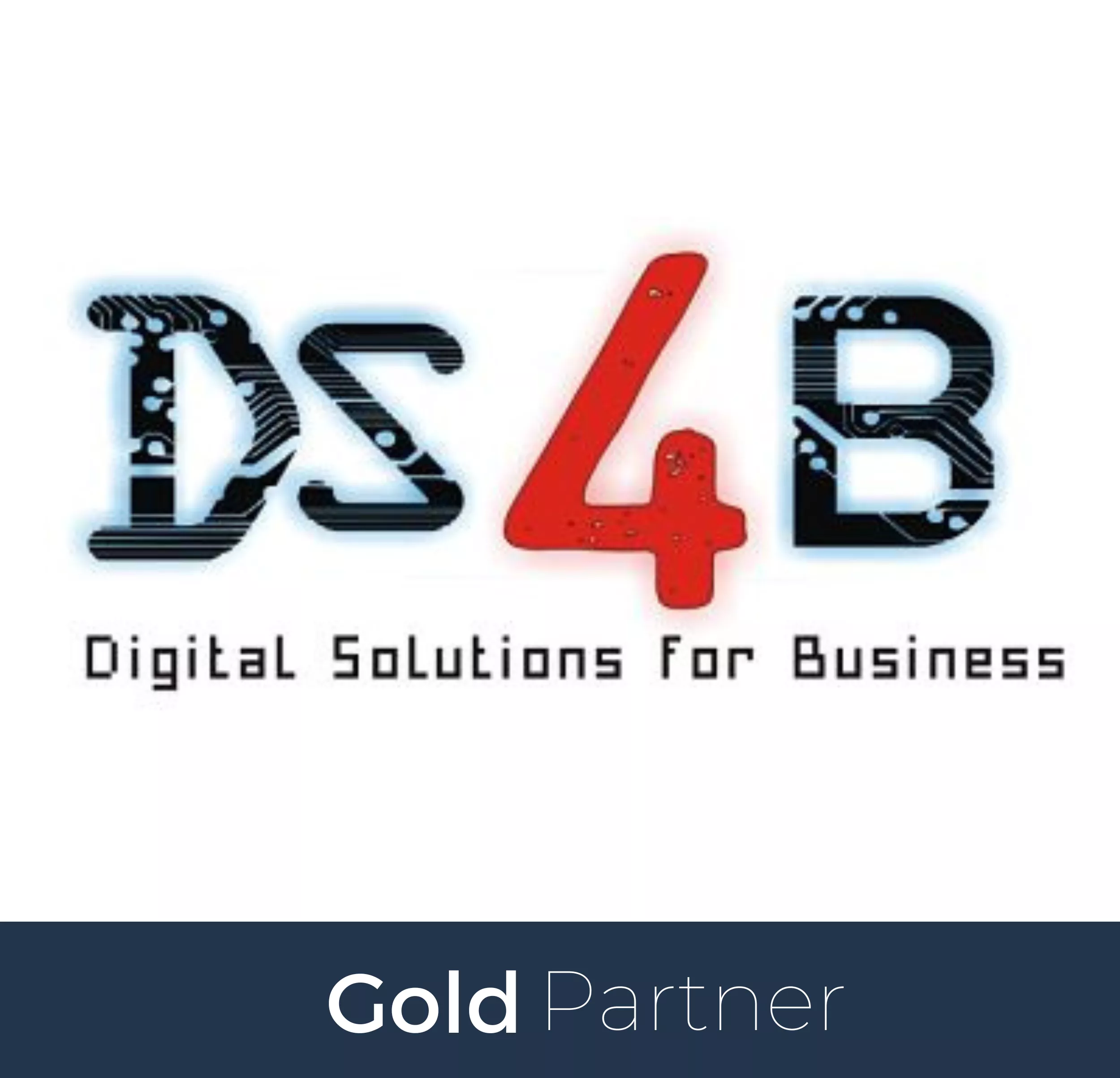 HOPEX MEGA Partner DS4B